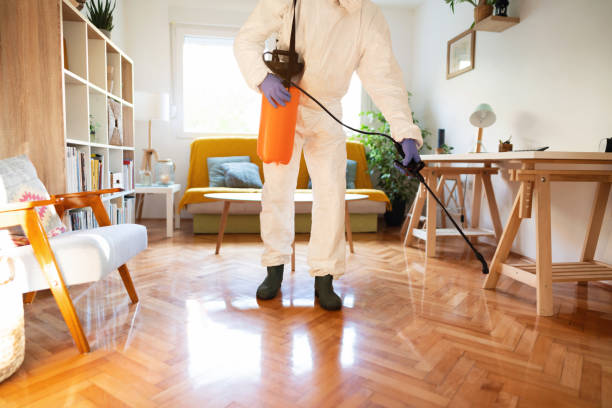 مكافحة حشرات بالرياض