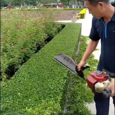 تنسيق الحدائق