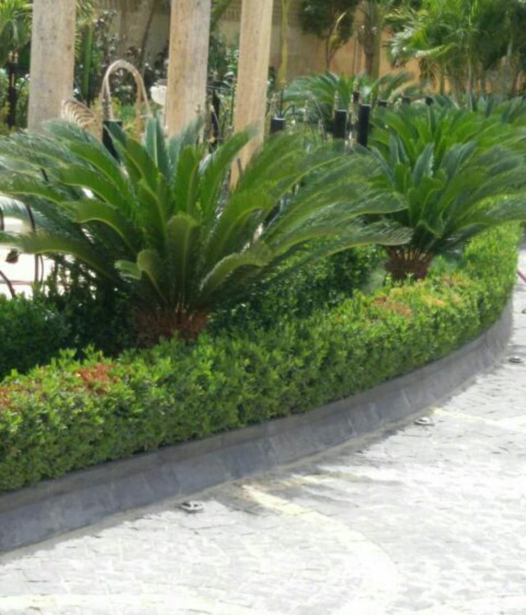 تنسيق الحدائق